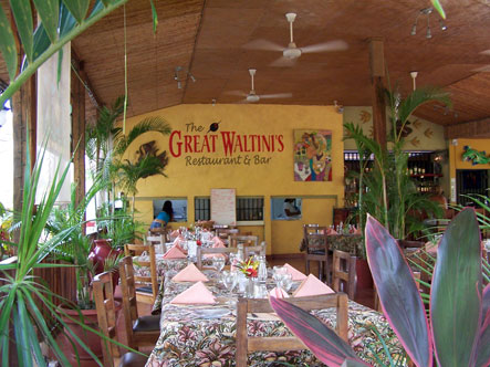 The Great Waltinis