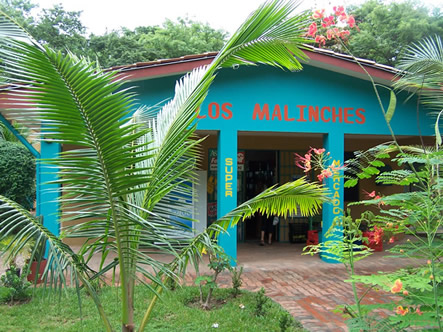the supermarket