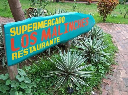 the supermarket